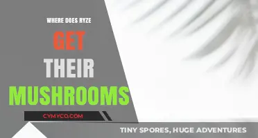 Sourcing Sustainability: Ryze's Mushroom Cultivation Secrets Unveiled