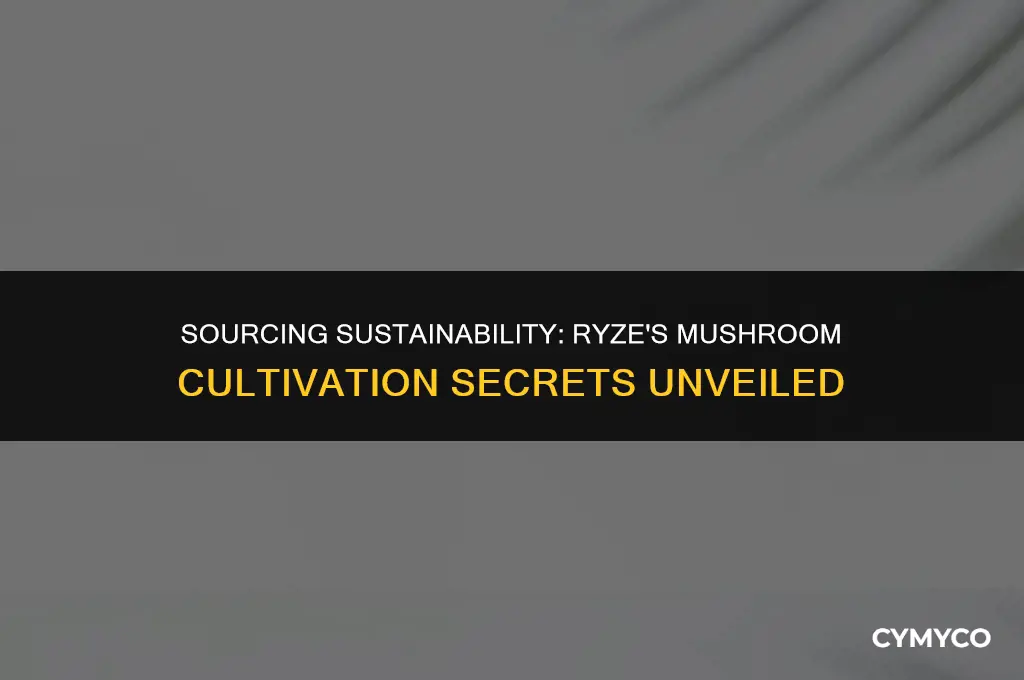 where does ryze get their mushrooms