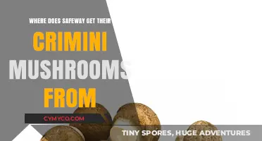 Unveiling Safeway's Crimini Mushroom Supply Chain: A Journey from Farm to Shelf