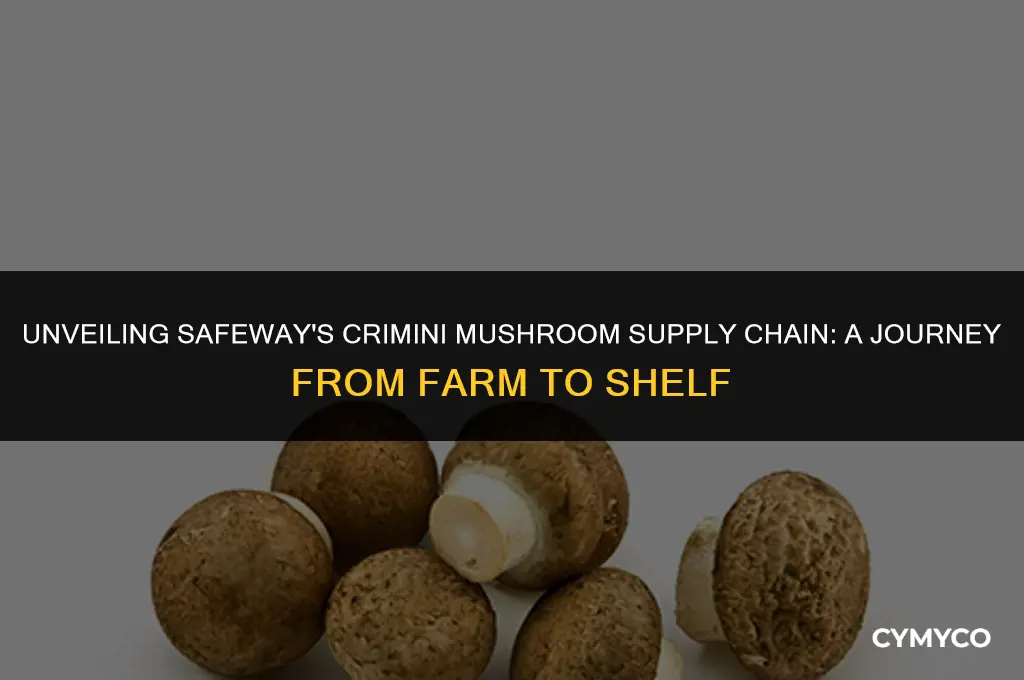 where does safeway get their crimini mushrooms from