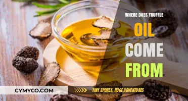 Unveiling the Origins of Truffle Oil: A Gourmet's Guide