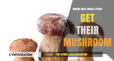 Sourcing Sustainability: Whole Foods' Mushroom Supply Chain Explored