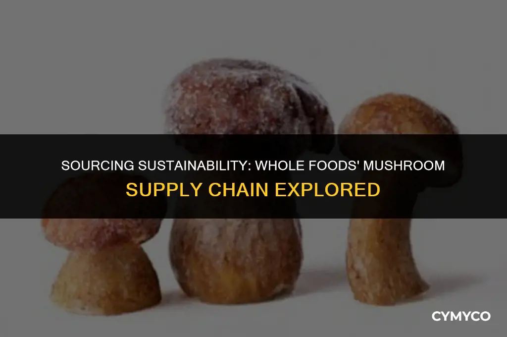 where does whole foods get their mushrooms