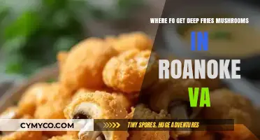 Discover the Best Spots for Deep-Fried Mushrooms in Roanoke, VA