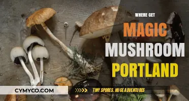 Exploring Portland's Psychedelic Scene: Where to Find Magic Mushrooms
