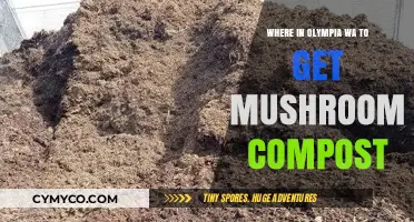Sustainable Gardening: Sourcing Mushroom Compost in Olympia, WA