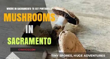Discover Sacramento's Best Spots for Fresh Portabella Mushrooms