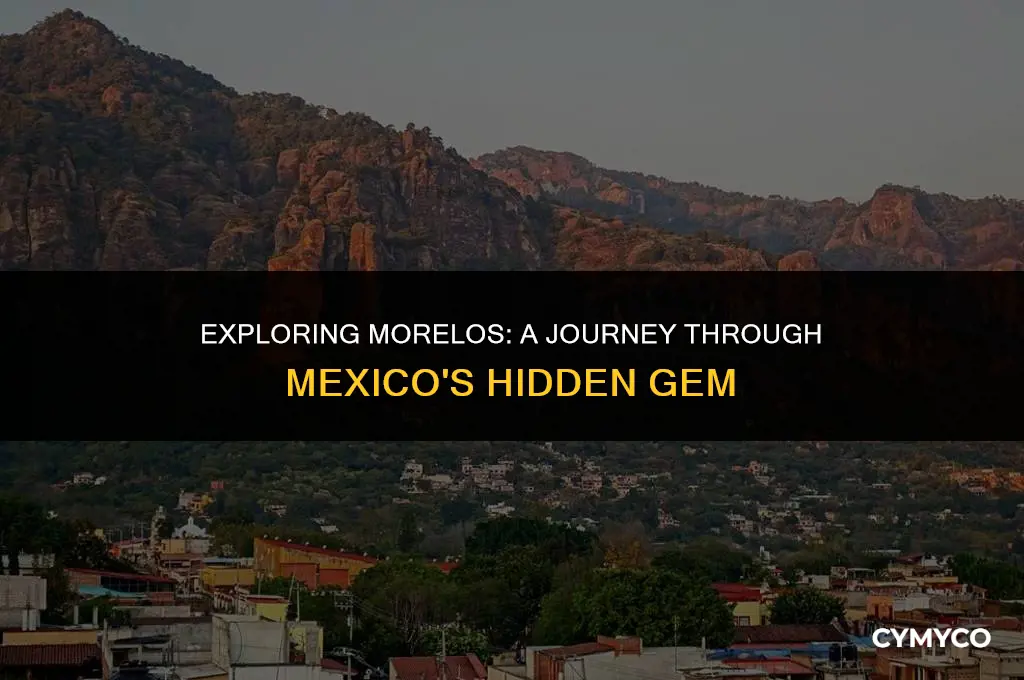 where is morelos mexico