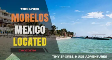 Discovering Puerto Morelos: A Hidden Gem on Mexico's Yucatan Coast