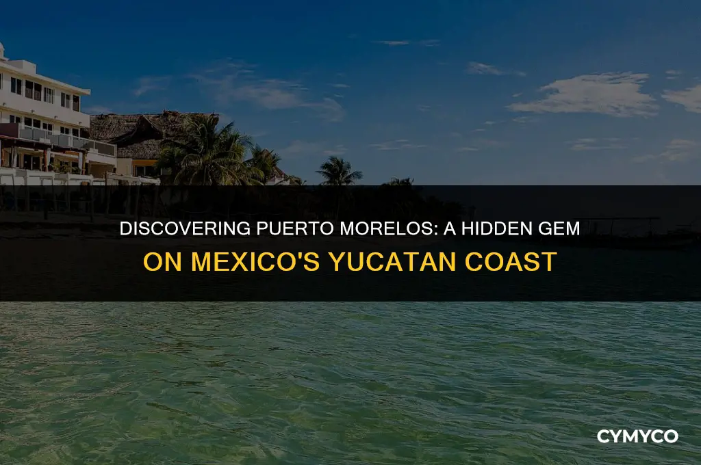 where is puerto morelos mexico located