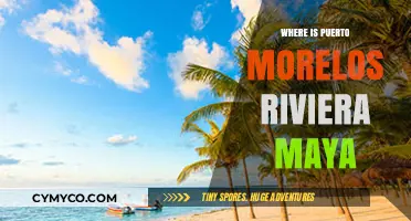 Discovering Puerto Morelos: A Hidden Gem on the Riviera Maya