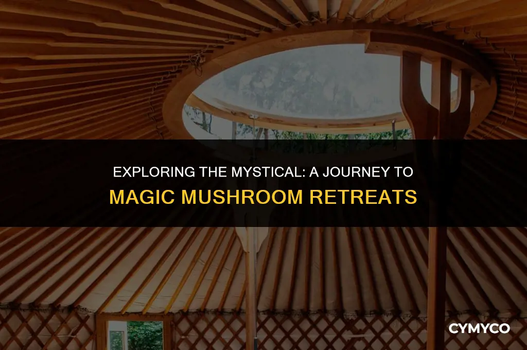where magic mushroom retreat