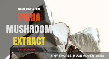 Exploring the Best Sources for Poria Mushroom Extract: A Comprehensive Guide