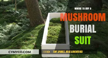 Eco-Friendly Farewell: Your Guide to Mushroom Burial Suits