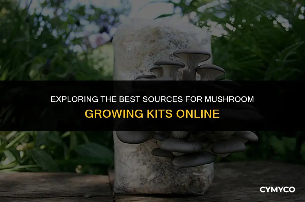 where to buy a mushroom kit