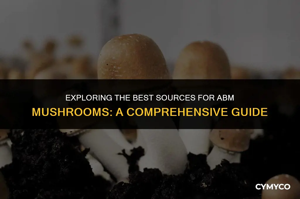 where to buy abm mushroom