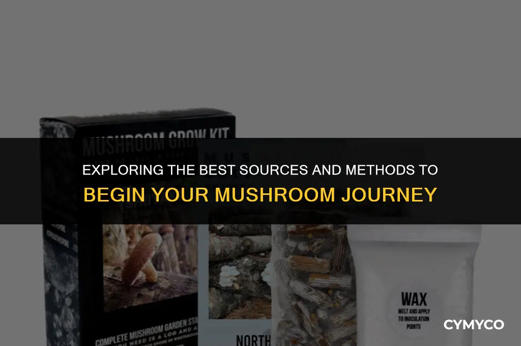 where to buy and start mushrooms