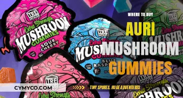 Exploring the Best Sources for Auri Mushroom Gummies Online