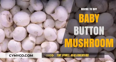 Discover the Best Spots to Buy Baby Button Mushrooms Locally and Online