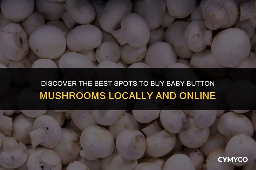 where to buy baby button mushrooms