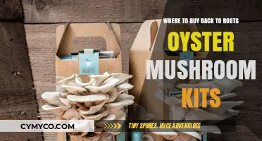 Discover the Best Places to Purchase Back-to-Roots Oyster Mushroom Kits