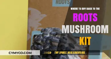Where to Buy Back to the Roots Mushroom Kit: A Comprehensive Guide