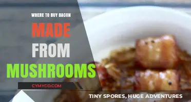 Savor the Flavor: Discover the Best Spots for Mushroom Bacon