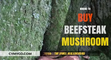 Savor the Flavor: Your Guide to Purchasing Beefsteak Mushrooms