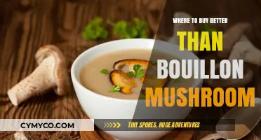 Savor the Flavor: Top Picks for Mushroom Bouillon Alternatives