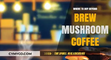 Exploring the Best Sources for Beyond Brew Mushroom Coffee