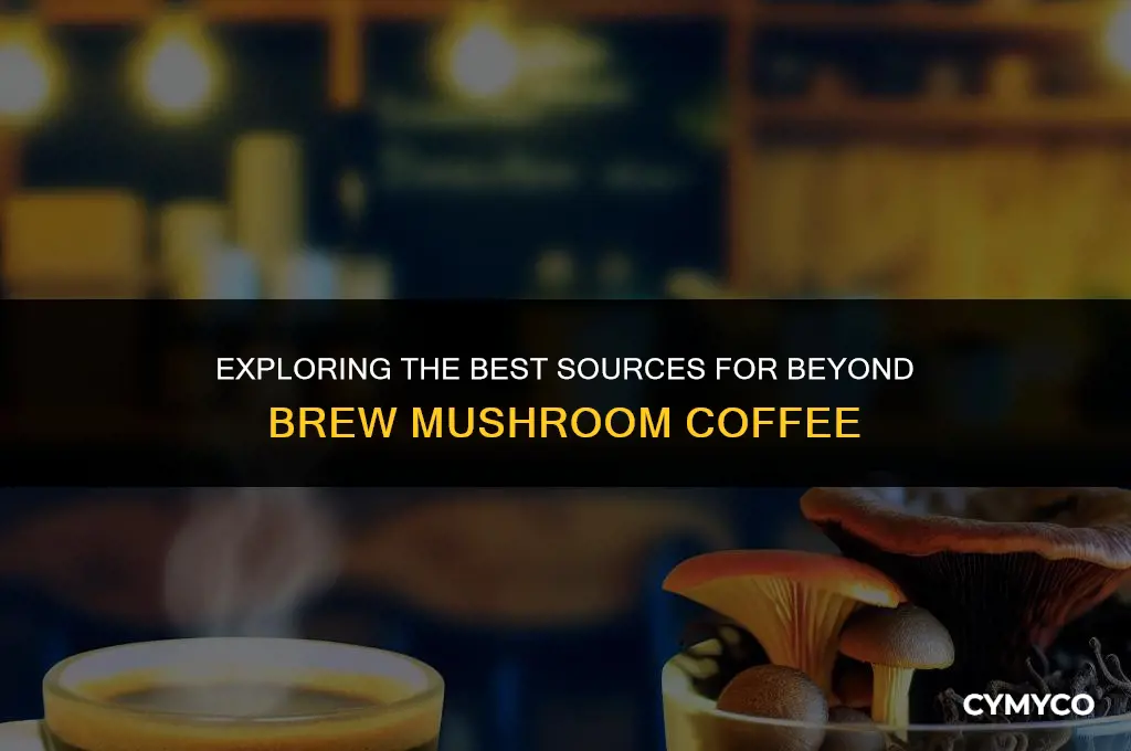 where to buy beyond brew mushroom coffee