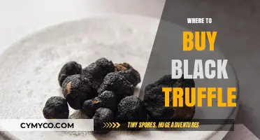 Discovering Gourmet Delights: Where to Buy Black Truffle