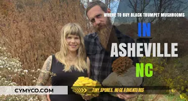 Exploring Asheville: Your Guide to Black Trumpet Mushrooms