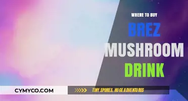 Exploring the Best Spots to Purchase Brez Mushroom Drink