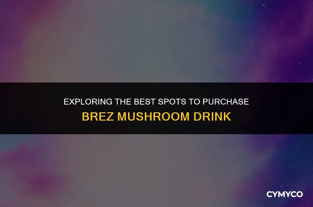 where to buy brez mushroom drink