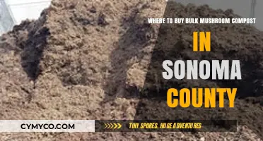 Sonoma County's Best Kept Secret: Where to Buy Bulk Mushroom Compost