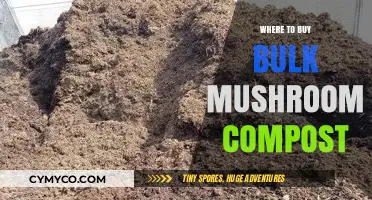 Where to Buy Bulk Mushroom Compost: A Comprehensive Guide