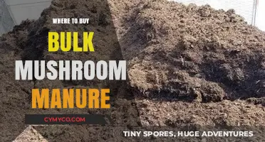 Where to Buy Bulk Mushroom Manure: A Comprehensive Guide