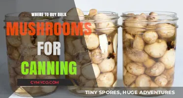 Where to Buy Bulk Mushrooms for Canning: A Comprehensive Guide