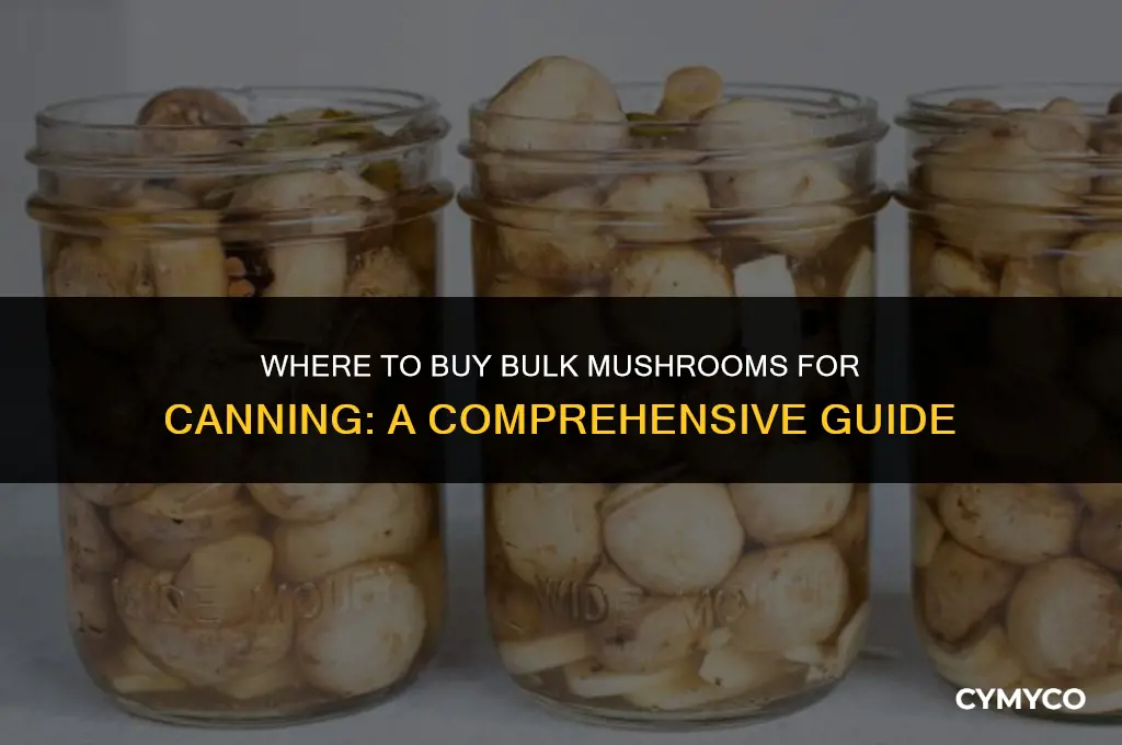 where to buy bulk mushrooms for canning