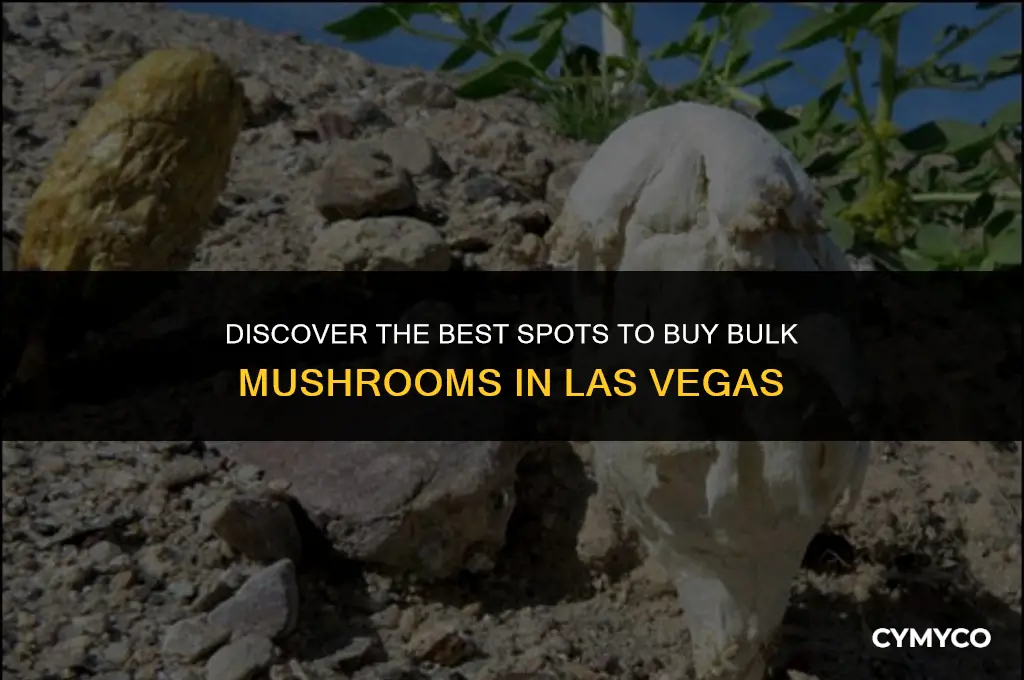where to buy bulk mushrooms in las vegas