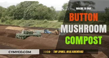 Discover the Best Sources for Button Mushroom Compost Online