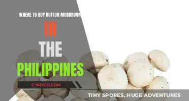 Discover the Best Spots to Buy Button Mushrooms in the Philippines