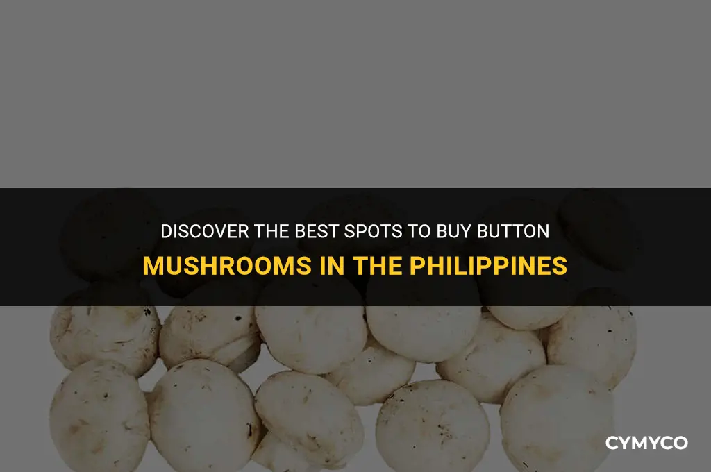 where to buy button mushroom in the philippines