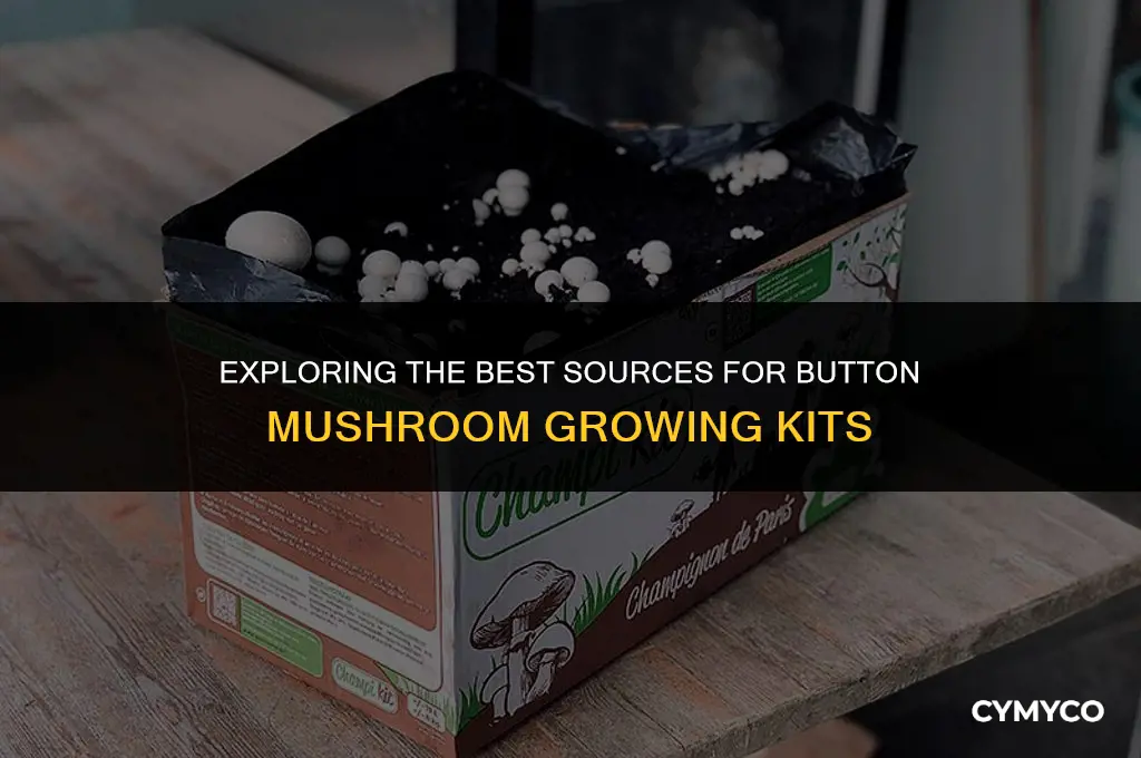 where to buy button mushroom kit