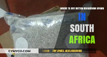 Exploring South Africa's Best Spots for Button Mushroom Spawn