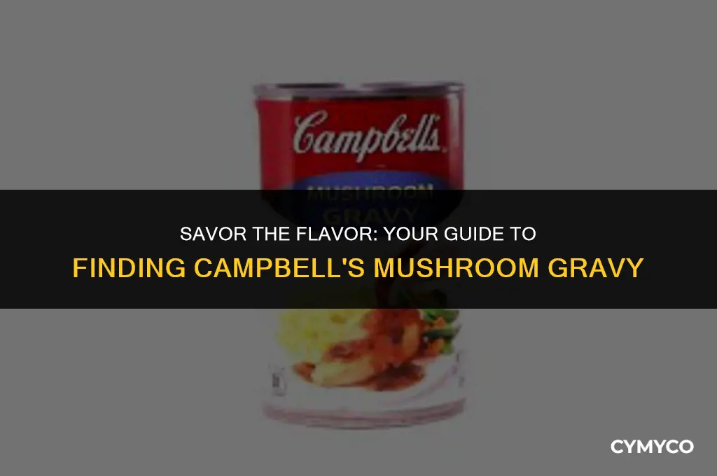 where to buy campbell