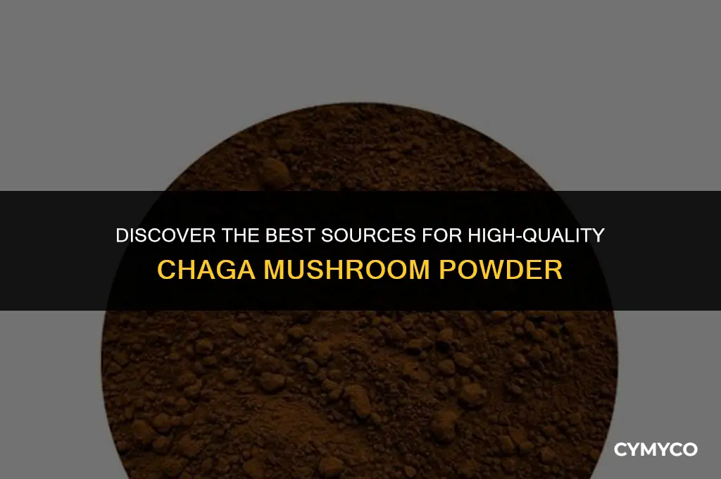 where to buy chaga mushroom powder