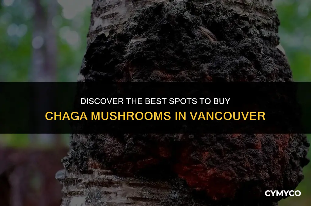 where to buy chaga mushrooms in vancouver