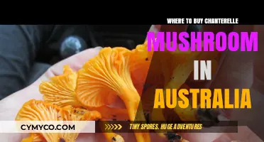 Discover the Best Spots to Buy Chanterelle Mushrooms in Australia